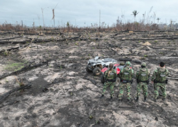 MPF denuncia acusados por crimes ambientais em Boca do Acre