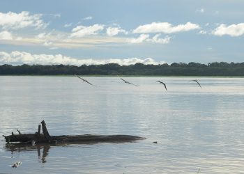 Seca: governo paga auxílio para pescadores da Região Norte