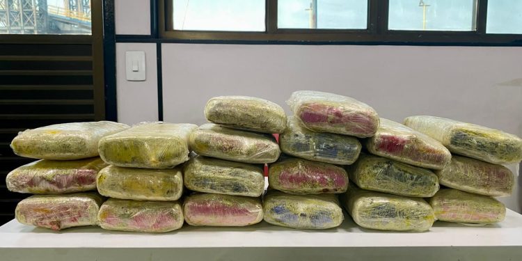 Polícia apreende 20 quilos de drogas camuflados dentro de sacos com bananas
