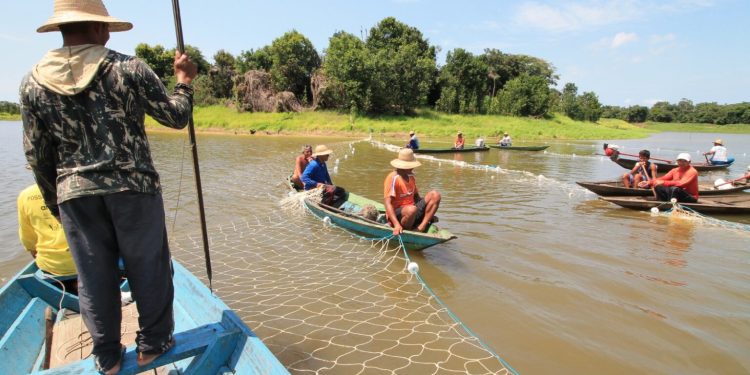 Cerca de 90 mil pescadores do Amazonas vão receber o Seguro Defeso Extraordinário
