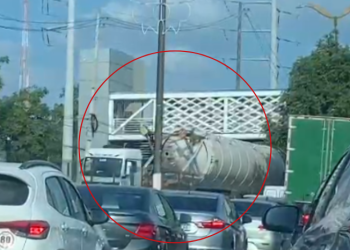 Motorista de carreta é autuado após atingir passarela