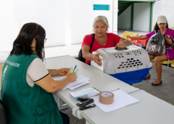 Prefeitura abre agendamento de castração para cães e gatos em Manaus
