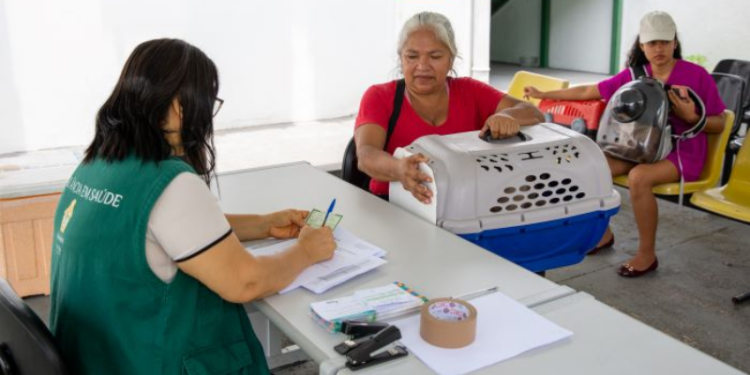 Prefeitura abre agendamento de castração para cães e gatos em Manaus