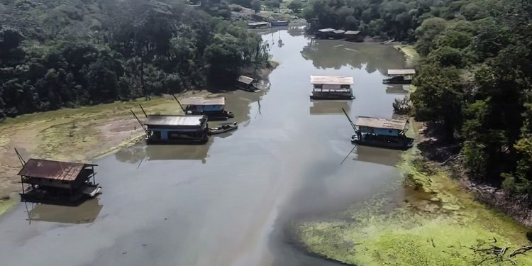 Rios na Amazônia têm risco muito alto de contaminação por mercúrio