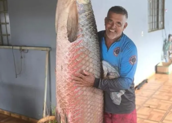Homem pesca dois pirarucus em rio de São Paulo