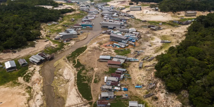Municípios do AM têm 35 dias para realizar conferências sobre meio ambiente