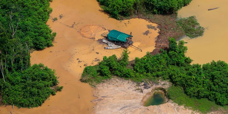 MPF recomenda ação ininterrupta do Ibama no AM para combate ao garimpo ilegal