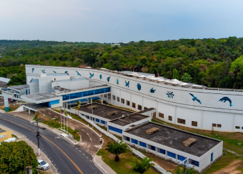 Centro de Bionegócios da Amazônia prorroga inscrições do edital para startups