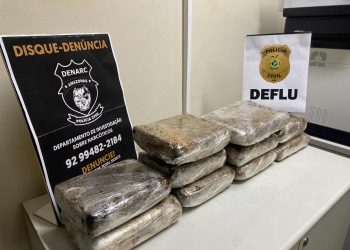 Polícia Civil apreende 10 quilos de maconha do tipo skunk, avaliados em R$ 100 mil