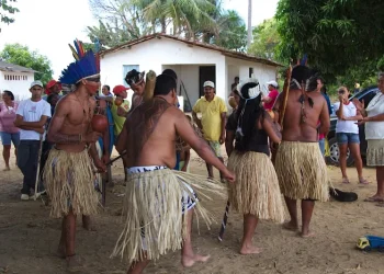 Justiça determina que Funai retome procedimento de demarcação da Terra Indígena Guanabara (AM)