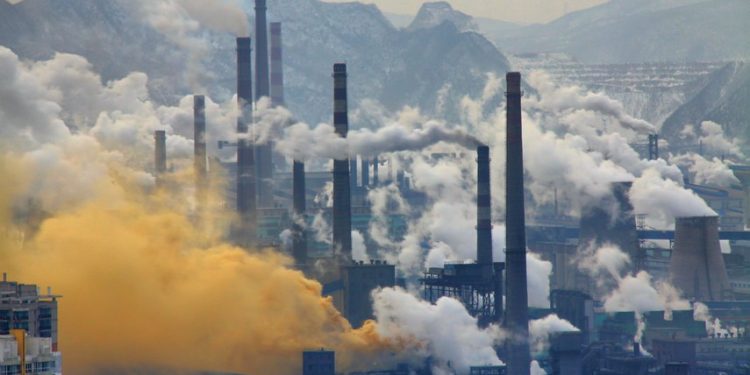 Lula sanciona lei que regula mercado de carbono no Brasil