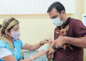 Manaus prorroga campanha de vacinação antirrábica até janeiro