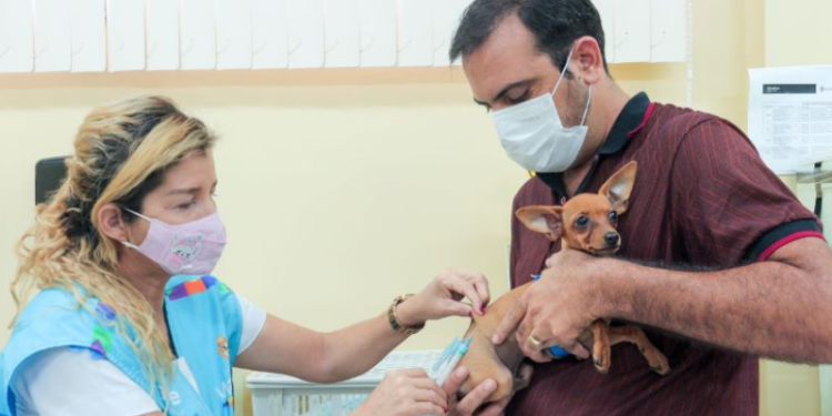 Manaus prorroga campanha de vacinação antirrábica até janeiro