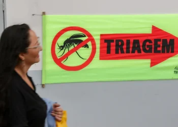 Entenda o que são sorotipos da dengue e por que o tipo 3 preocupa