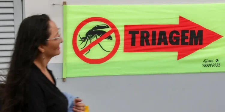 Entenda o que são sorotipos da dengue e por que o tipo 3 preocupa