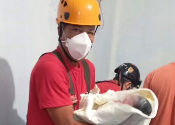 Em Parintins, bombeiros fazem parto e auxiliam primeirosr momentos entre mãe e filha