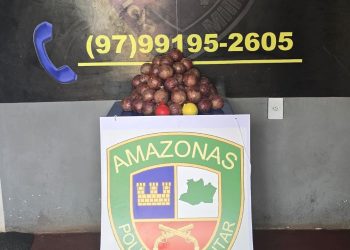 Em Santo Antônio de Içá, polícia apreende 16 kg de drogas escondidas em formato de cebolas