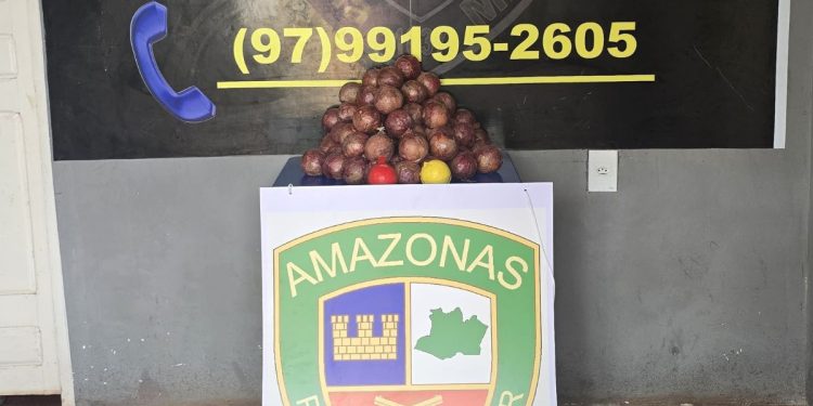 Em Santo Antônio de Içá, polícia apreende 16 kg de drogas escondidas em formato de cebolas