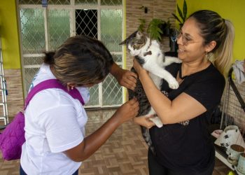 Campanha antirrábica da prefeitura segue com vacinação em UBSs e clínicas veterinárias parceiras