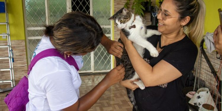 Campanha antirrábica da prefeitura segue com vacinação em UBSs e clínicas veterinárias parceiras