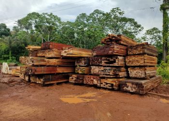 PMAM apreende 400 metros cúbicos de madeira ilegal durante fiscalização em Manacapuru