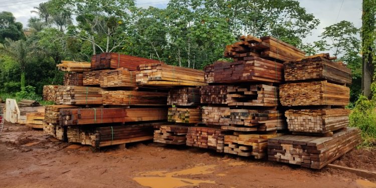 PMAM apreende 400 metros cúbicos de madeira ilegal durante fiscalização em Manacapuru
