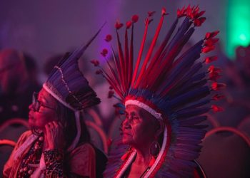 ‘Chamada Elos da Amazônia’ segue aberta com investimentos de até R$ 2 milhões