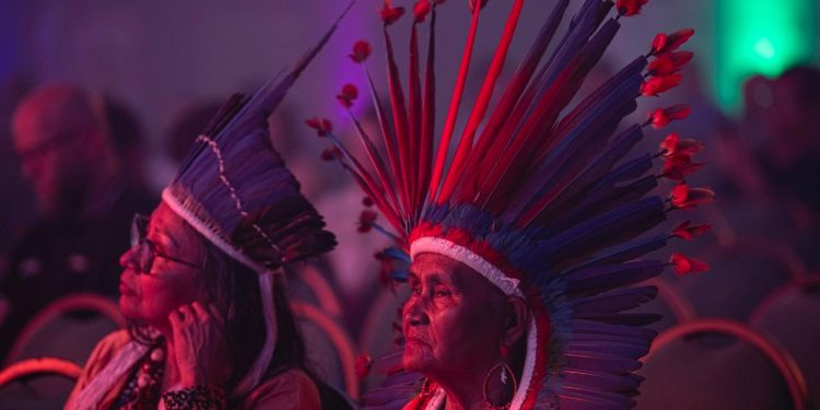 ‘Chamada Elos da Amazônia’ segue aberta com investimentos de até R$ 2 milhões