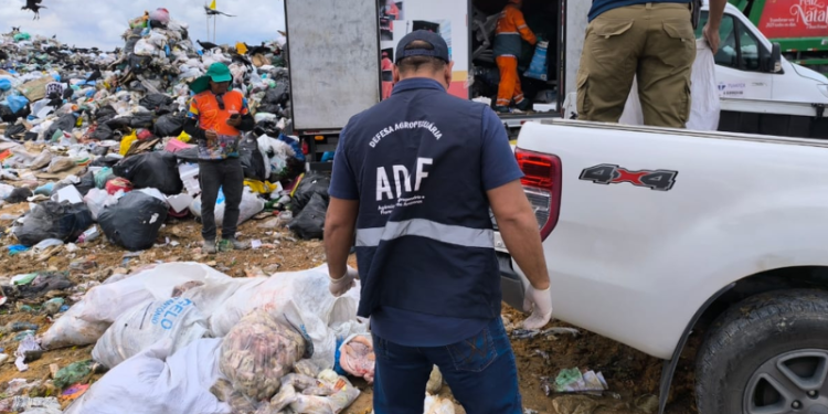 Em Manaus, 400 quilos de carne de açougue clandestino são descartados