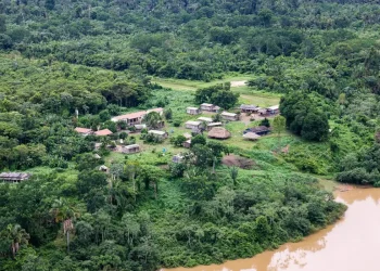 Indígenas relatam novo ataque armado à TI Apyterewa, no Pará