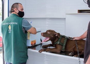 Serviço de castração de cães e gatos da prefeitura abre novos agendamentos na segunda-feira (3)