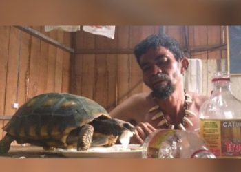 Cineclube de Arte exibe três filmes de Jimmy Christian no Teatro Gebes de Medeiros