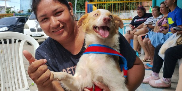 Prefeitura de Manaus abre agendamento de castração em unidade móvel da zona Norte