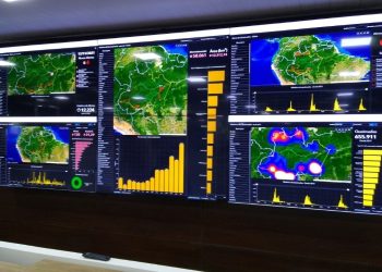 Amazonas registra queda de 85% no desmatamento e focos de calor