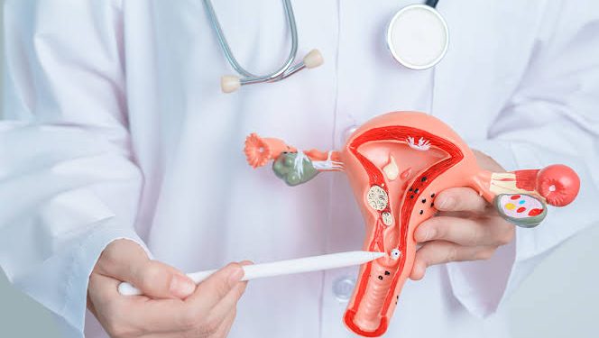 AM deve registrar 1.800 casos de câncer de colo de útero até 2026