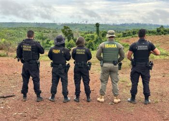 PF prende ex-vice-prefeito de Apuí por desmatamento ilegal e invasão de terras