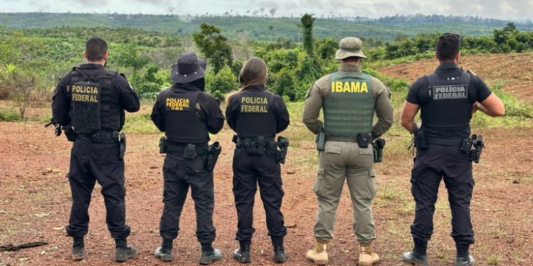 PF prende ex-vice-prefeito de Apuí por desmatamento ilegal e invasão de terras