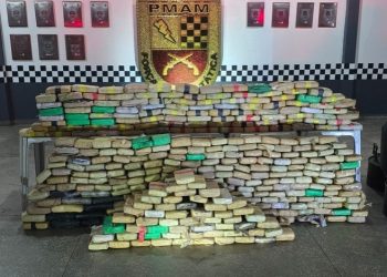 Apreensão de droga em Manaus causa prejuízo de R$ 8 milhões ao tráfico
