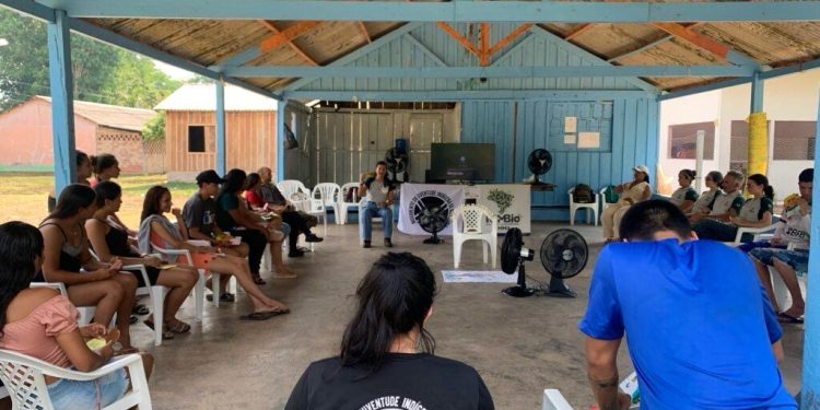 Programa de aceleração investe R$ 600 mil em negócios na Amazônia