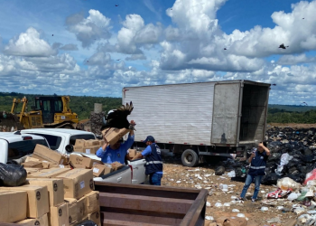 Adaf descarta 6,8 toneladas de alimentos com prazo de validade vencido