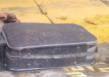 Partes de corpo são encontrados dentro de mala em igarapé de Manaus