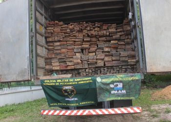 Motorista é multado em R$ 7 mil por transportar madeira ilegal em Manacapuru