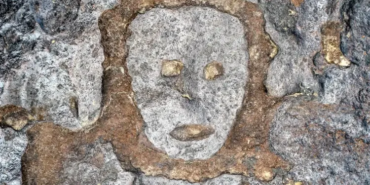 Seca no Amazonas revela esculturas rupestres