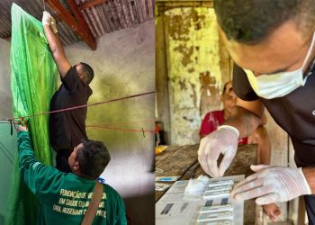 Amazonas reduz em 12,6% os casos de malária no primeiro trimestre de 2025