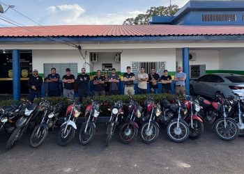 Polícia Civil realiza operação em Coari e recupera 24 motocicletas roubadas em Manaus
