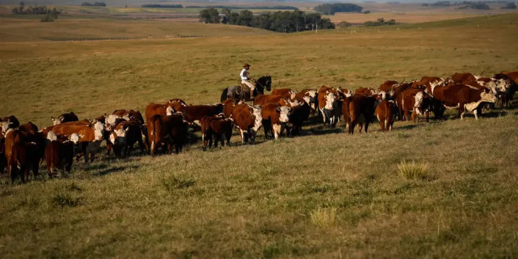 PIB cresce 1,4% no primeiro trimestre deste ano