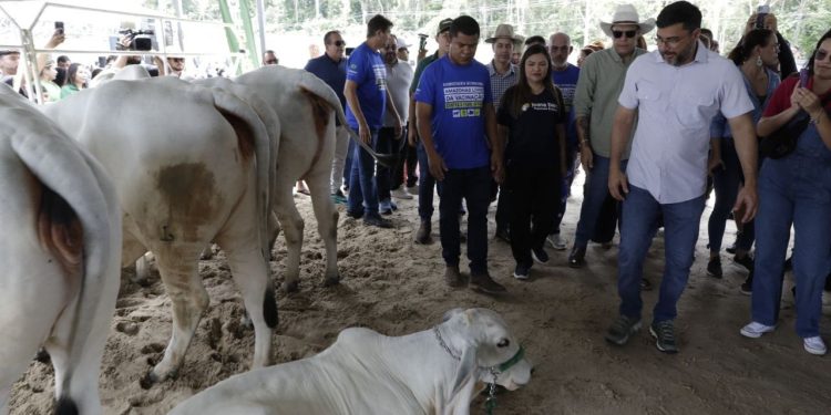 Governador Wilson Lima apresenta comitiva que representará o Amazonas em evento que oficializa estado livre da febre aftosa sem vacinação