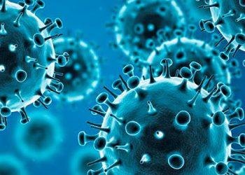 Cientistas alertam para possível nova pandemia provocada por vírus da gripe aviária