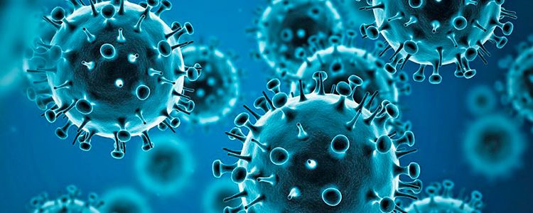 Cientistas alertam para possível nova pandemia provocada por vírus da gripe aviária