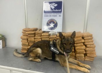 Funcionário da GOL Log é preso por tráfico de drogas no Aeroporto de Manaus